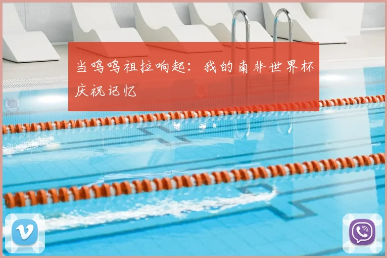 当呜呜祖拉响起：我的南非世界杯庆祝记忆