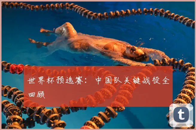世界杯预选赛：中国队关键战役全回顾