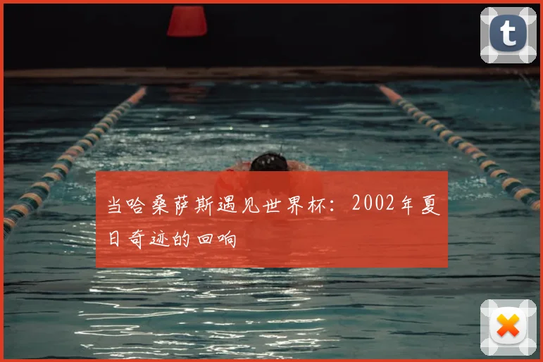 当哈桑萨斯遇见世界杯:2002年夏日奇迹的回响