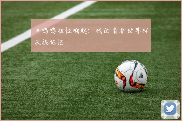 当呜呜祖拉响起:我的南非世界杯庆祝记忆