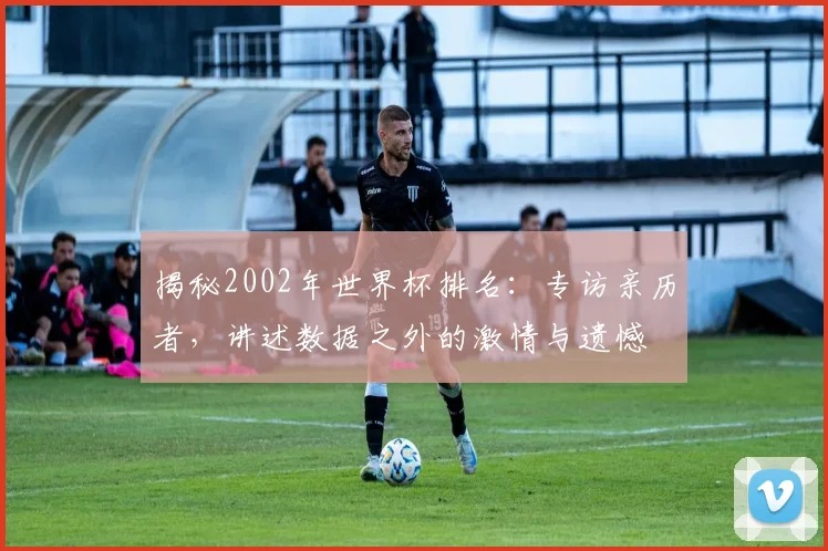 揭秘2002年世界杯排名：专访亲历者，讲述数据之外的激情与遗憾