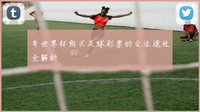 年世界杯购买足球彩票的合法途径全解析