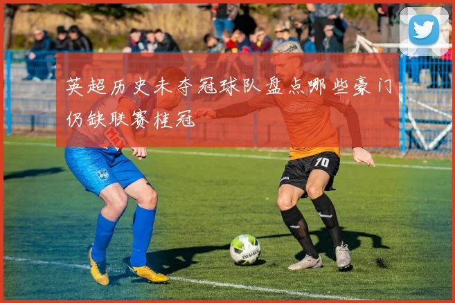 英超历史未夺冠球队盘点哪些豪门仍缺联赛桂冠