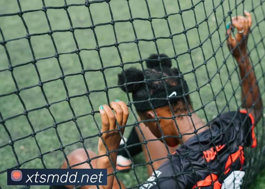 ayx登录平台发展历程